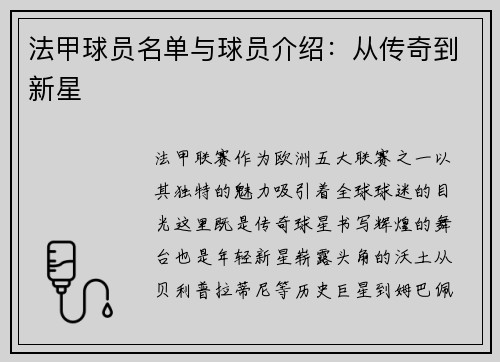 法甲球员名单与球员介绍：从传奇到新星